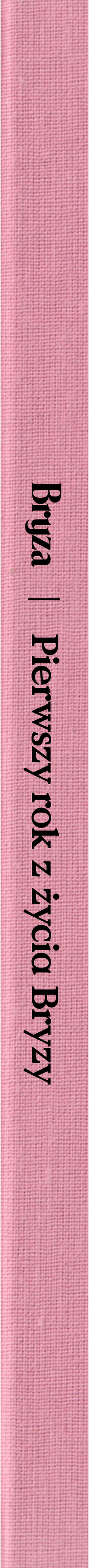 Bryza Rok Pierwszy spine