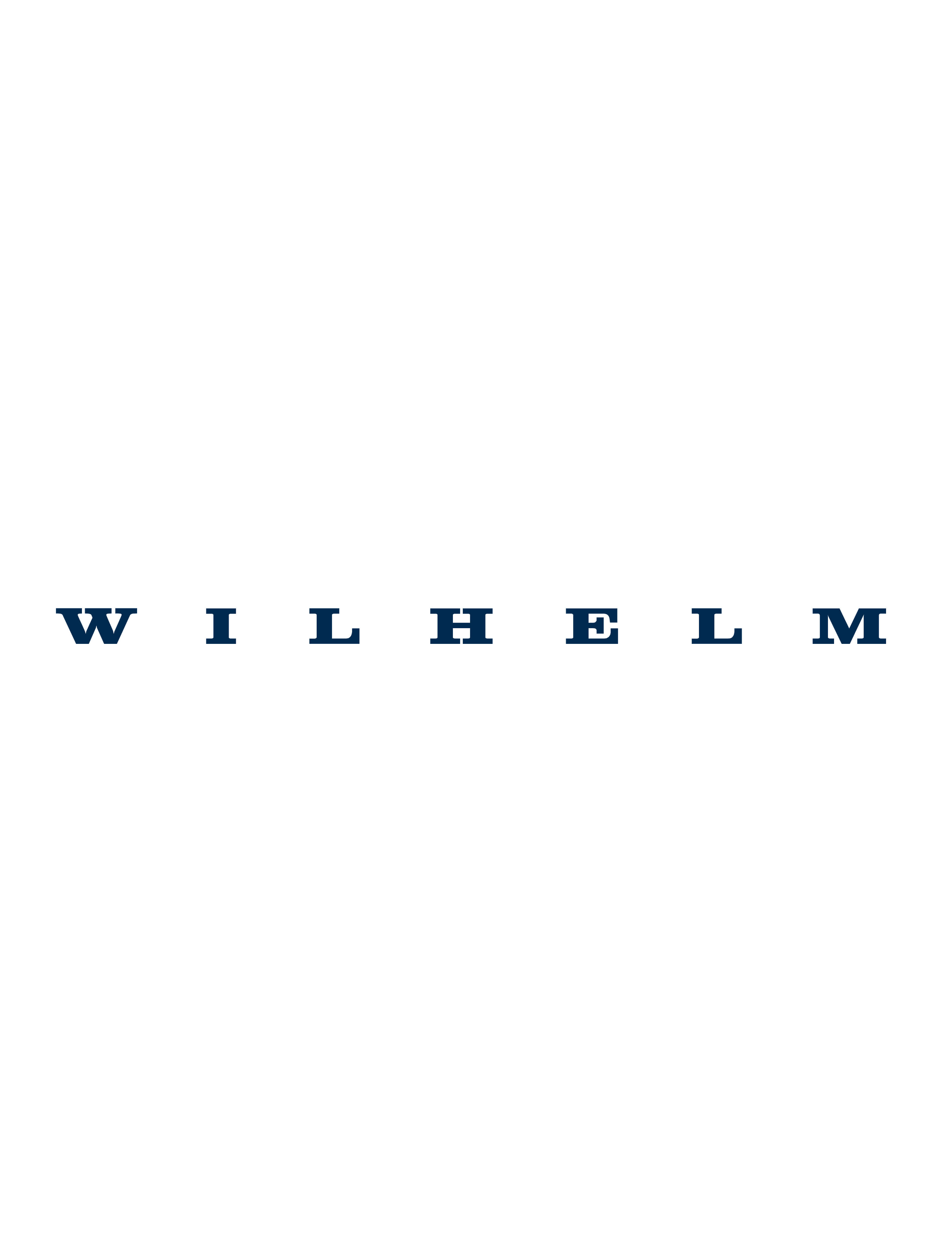 Wilhelmzine front